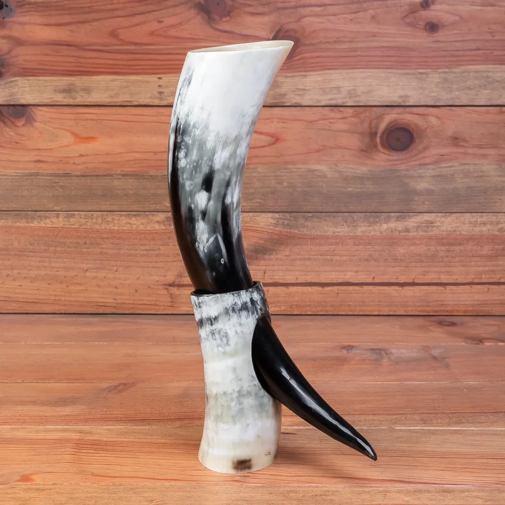 Polished Drinking Horn   Horn Stand (Large)